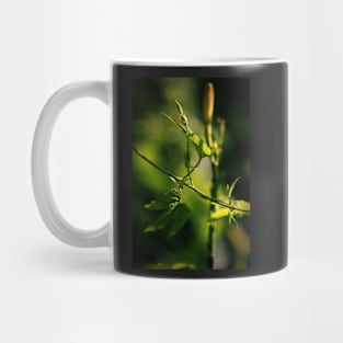 Twisted Mug